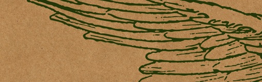 Live Free and Let Loose